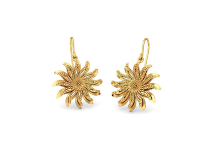 Gold Plated | Fashion Earrings